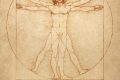 The famous anatomical drawing "Vitruvian Man" (Uomo vitruviano) by Leonardo da Vinci.